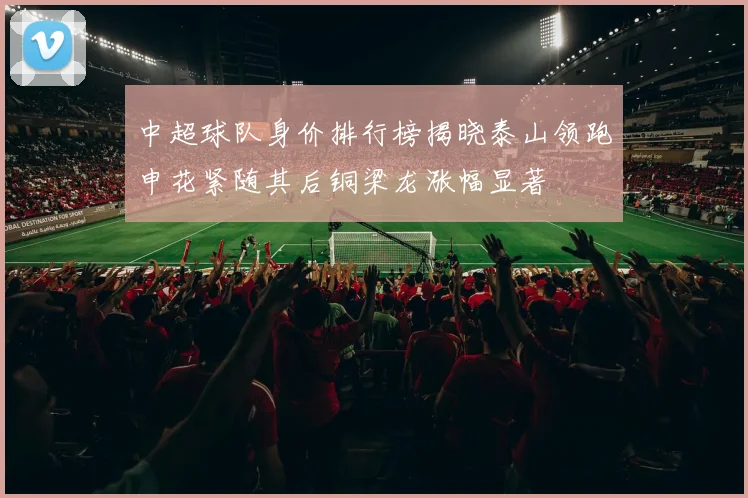 中超球队身价排行榜揭晓泰山领跑申花紧随其后铜梁龙涨幅显著