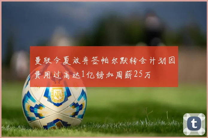 曼联今夏放弃签帕尔默转会计划因费用过高达1亿镑加周薪25万