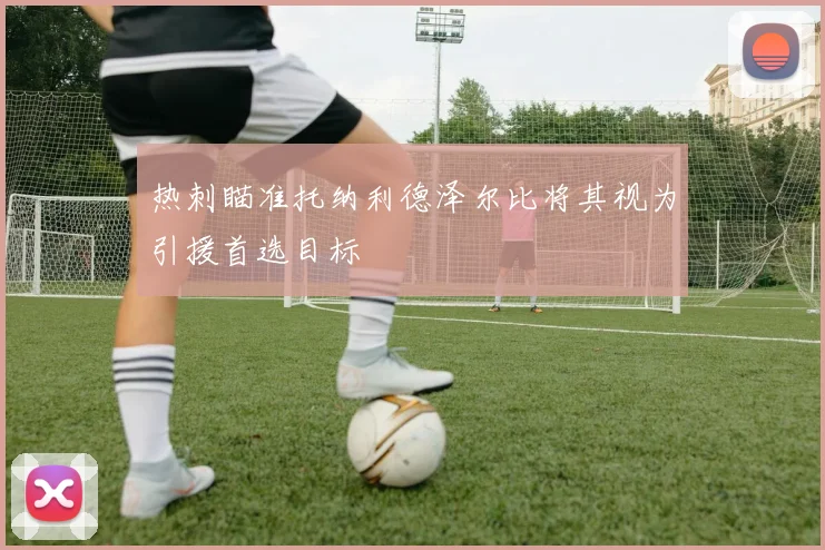 热刺瞄准托纳利德泽尔比将其视为引援首选目标