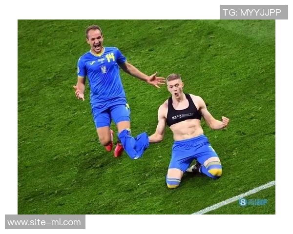 多夫比克决定保守治疗不做肌腱手术预计将于2月初重返赛场